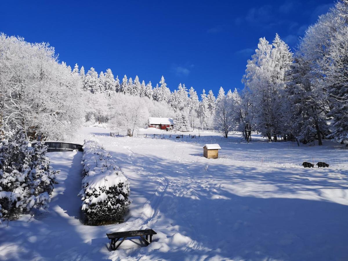 Chata Zákoutí Vítkovice Exterior foto